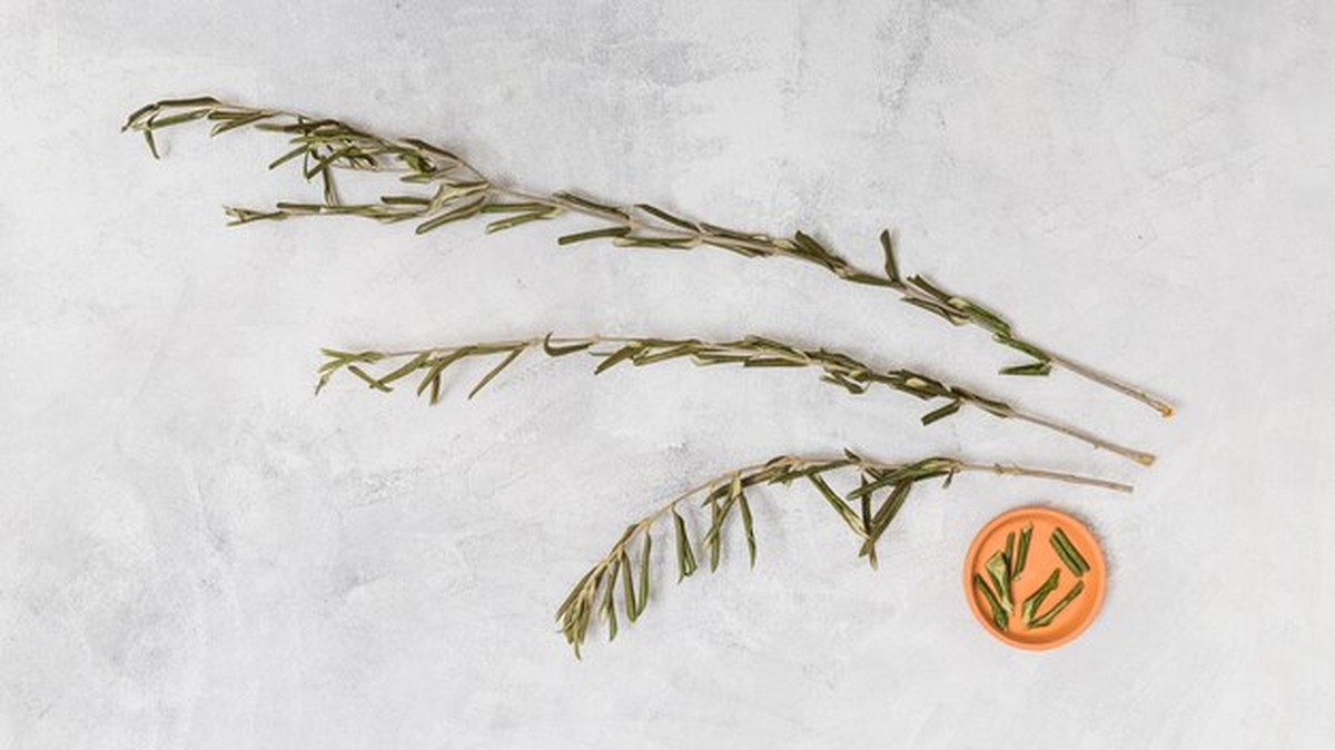 Echte Zweige oder Kunstschmuck: Was hält länger und spart Geld - image 1