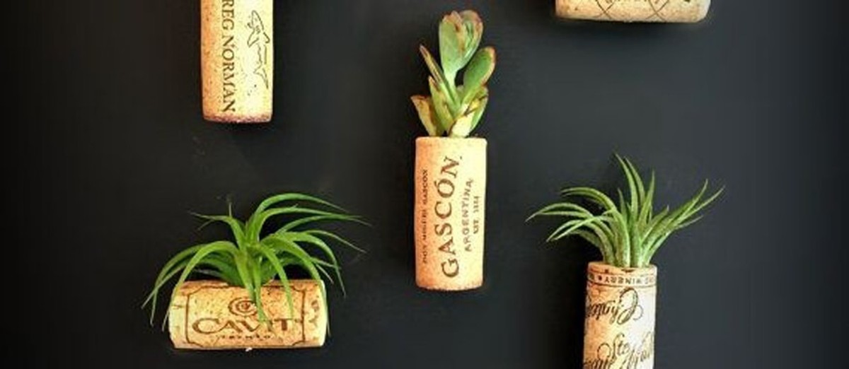 Flaschenkorken als Pflanzentöpfe: Die nachhaltige Lösung für Balkonkräuter