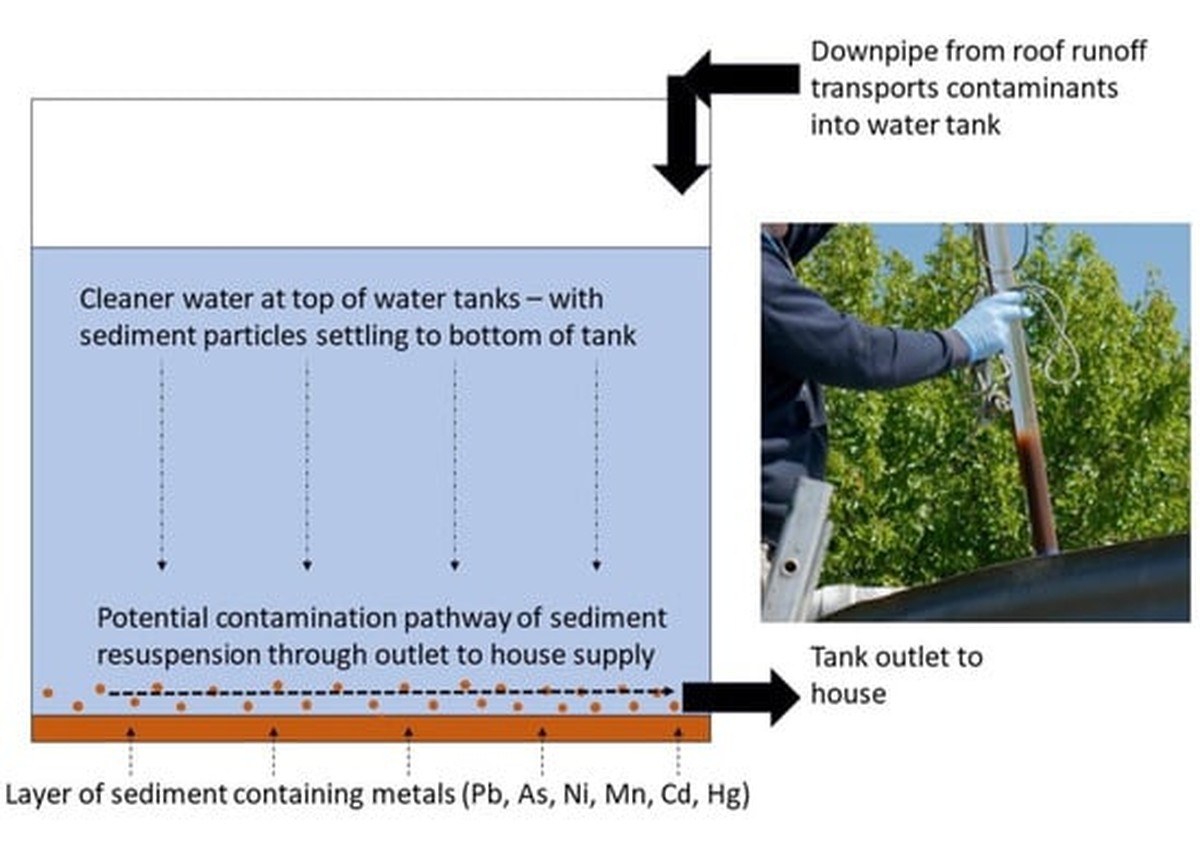 Gärtner verraten: Warum Sie niemals Regenwasser aus der Dachrinne nutzen sollten - image 1