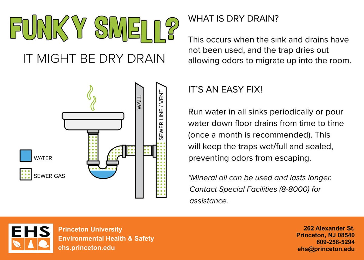 Kaffeesatz in der Dusche: Wie Sie unangenehme Gerüche für 10 Cent bekämpfen - image 1