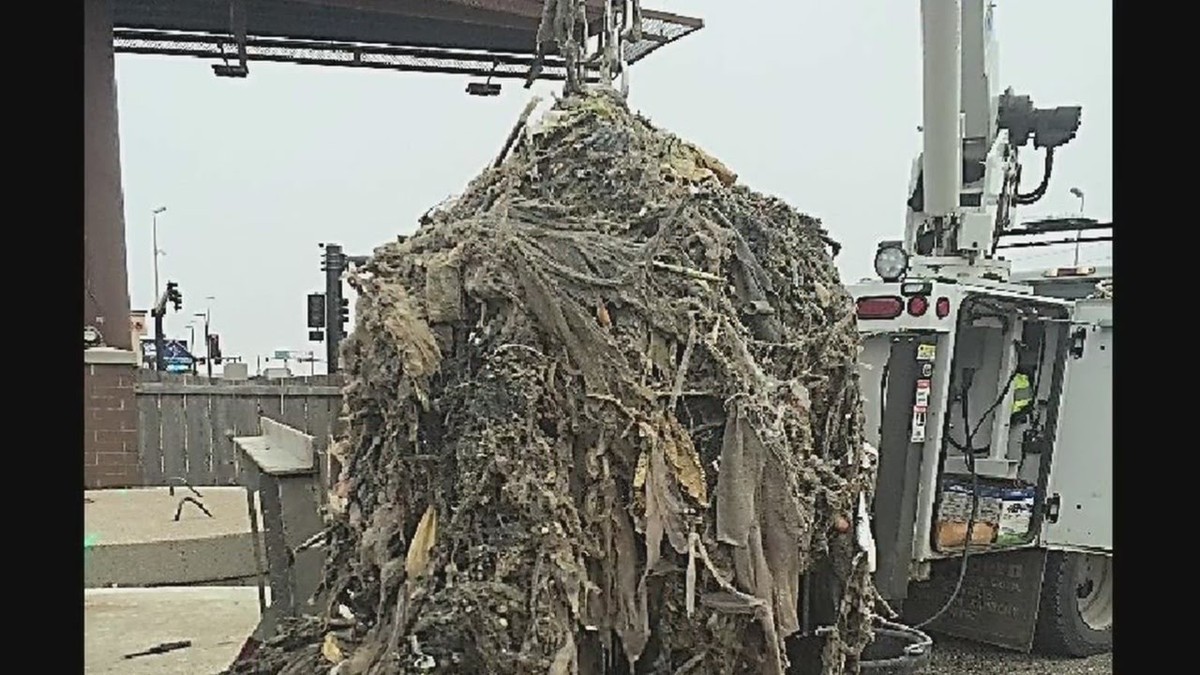 Klempner warnen: Diese 3 Dinge gehören nie ins Klo - image 1