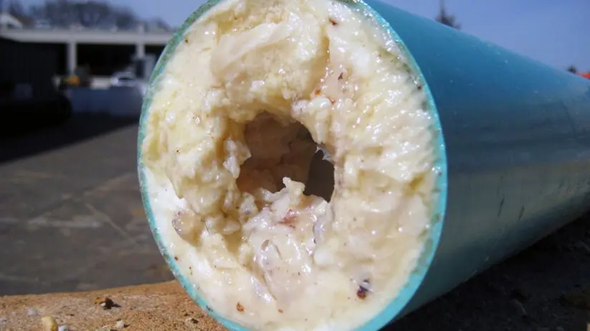 Klempner warnen: Gießt niemals dieses Öl in den Abfluss - image 1