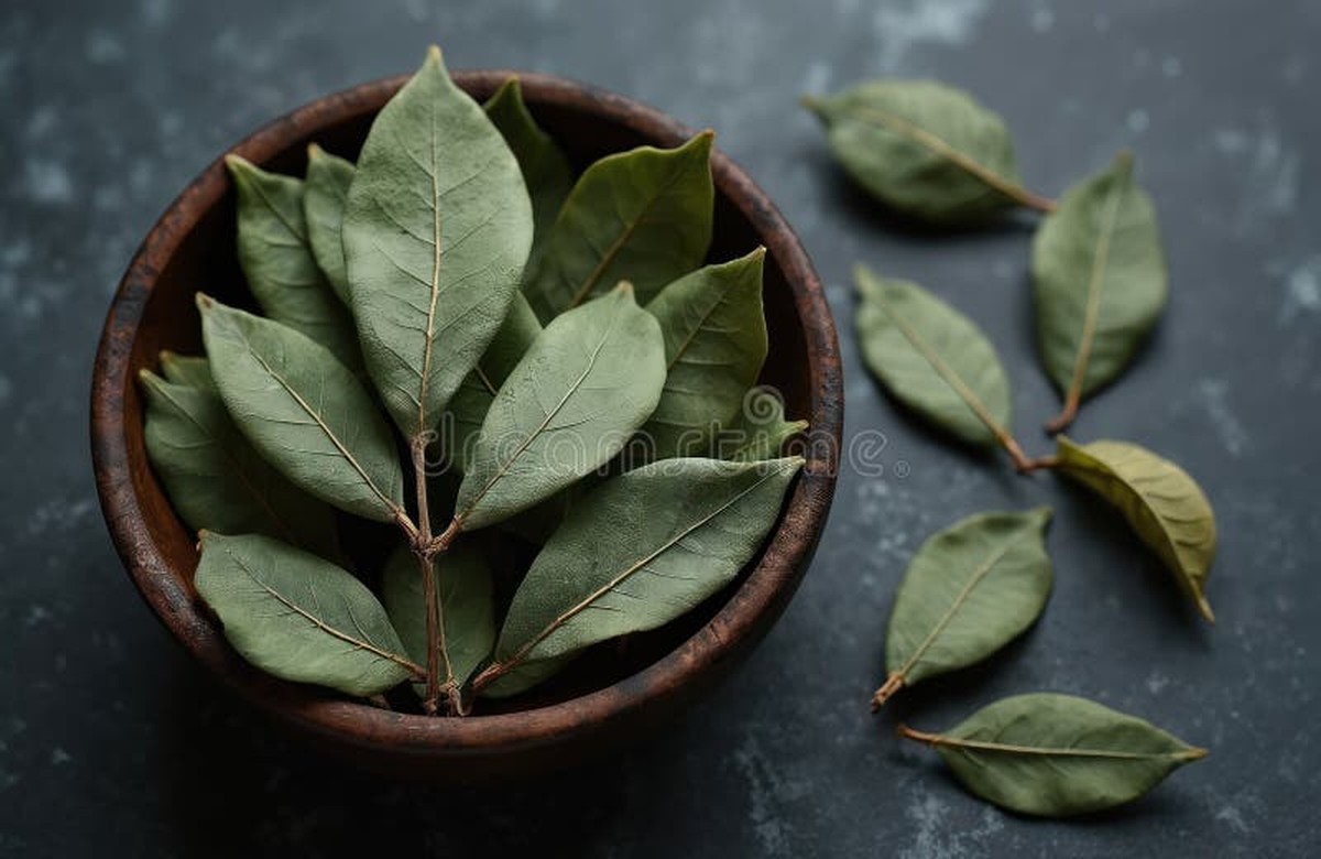 Lorbeerblatt ins Mehl: Das 100 Jahre alte Geheimnis gegen Schädlinge - image 2