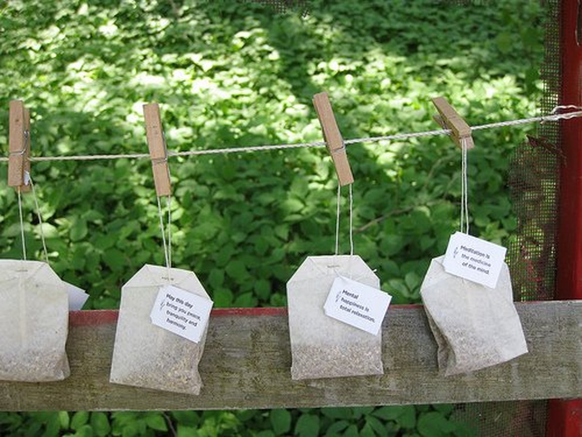 Nachbarin wirft Teebeutel nie weg: sehen Sie, warum - image 2