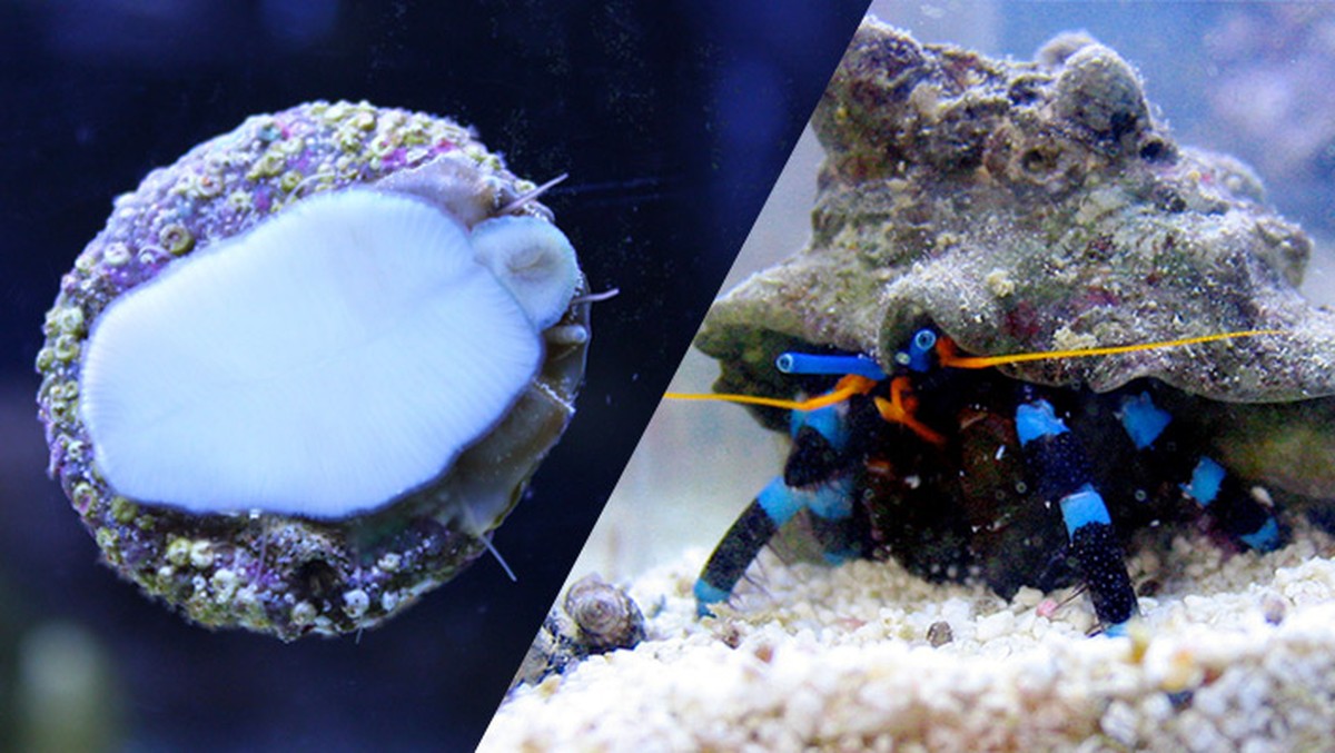 Salzwasser auf dem Fliesenboden: Die vergessene Methode gegen Schimmel - image 1