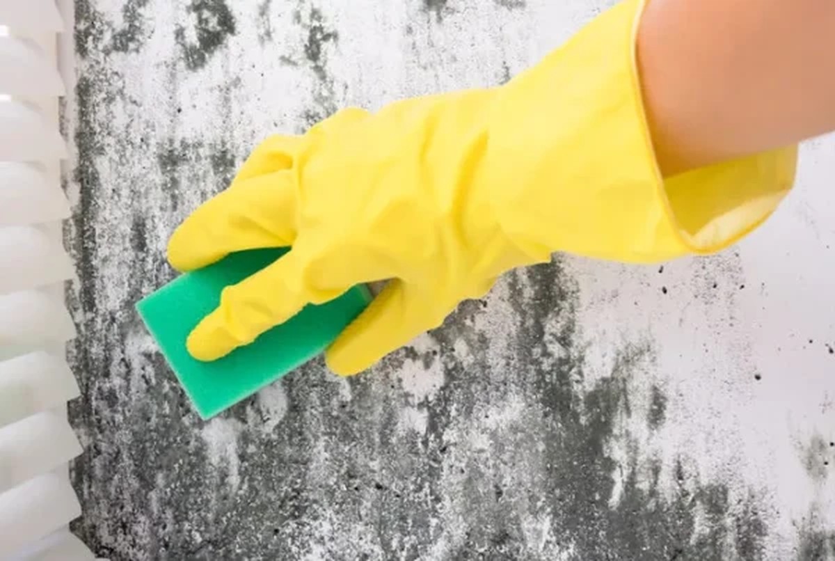 Schimmel verschwindet in 5 Minuten: Nachbarin zeigte mir diesen Trick aus der DDR - image 2