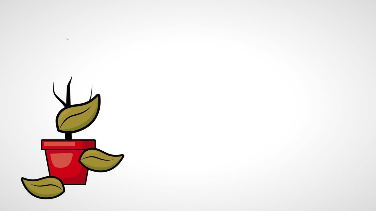 Warum Ihre Zimmerpflanzen wirklich eingehen – 3 stille Killer - image 1