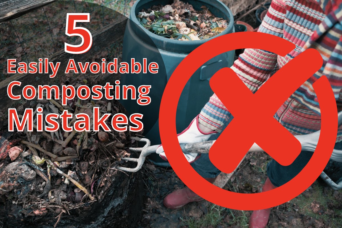 Was Gärtner niemals in ihren Kompost werfen – und warum