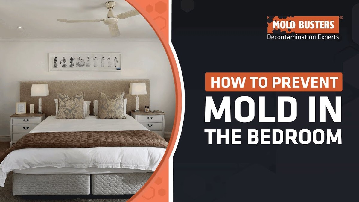 Zeitungspapier unterm Bett: Das Anti-Feuchtigkeits-Geheimnis aus Skandinavien - image 2