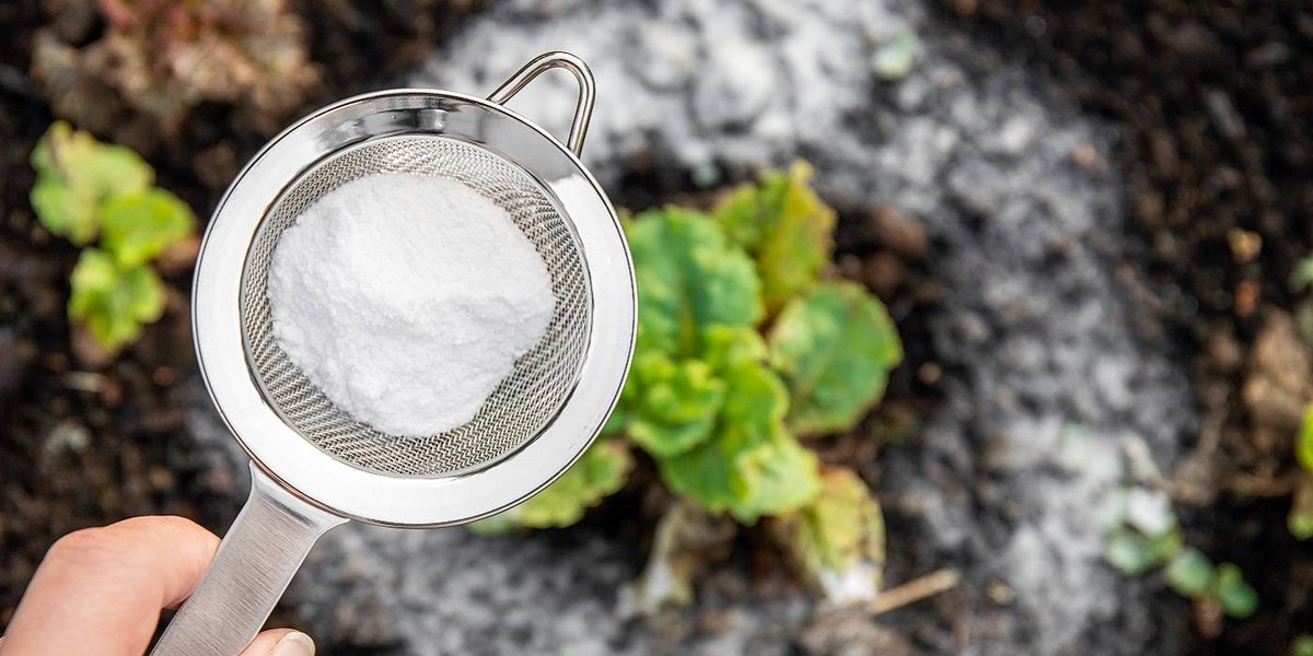 Backpulver auf dem Teppich – das Geheimnis gegen Gerüche und Flecken - image 1