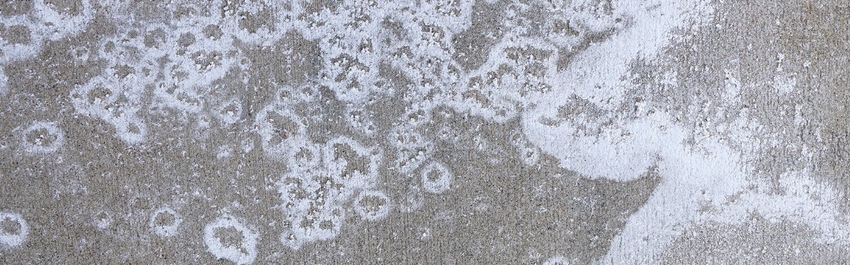 Essig und Salz auf Flecken im Teppich: Profis schwören darauf - image 1