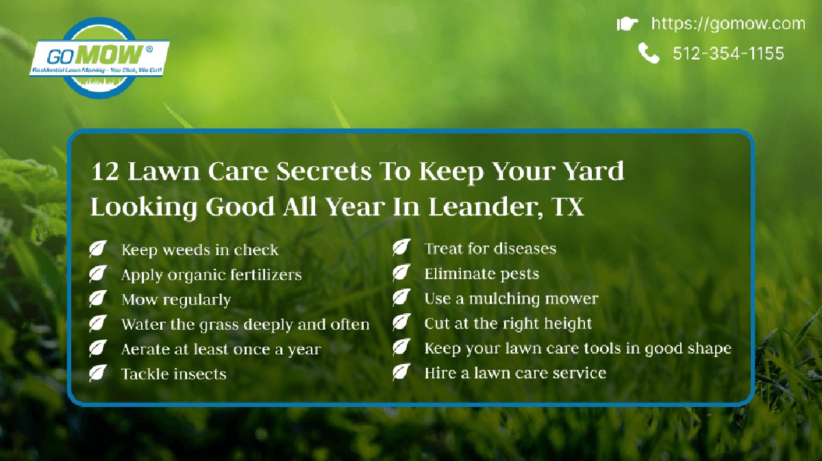 Gärtner verraten: Warum Ihr Rasen trotz Gießen braun wird - image 2