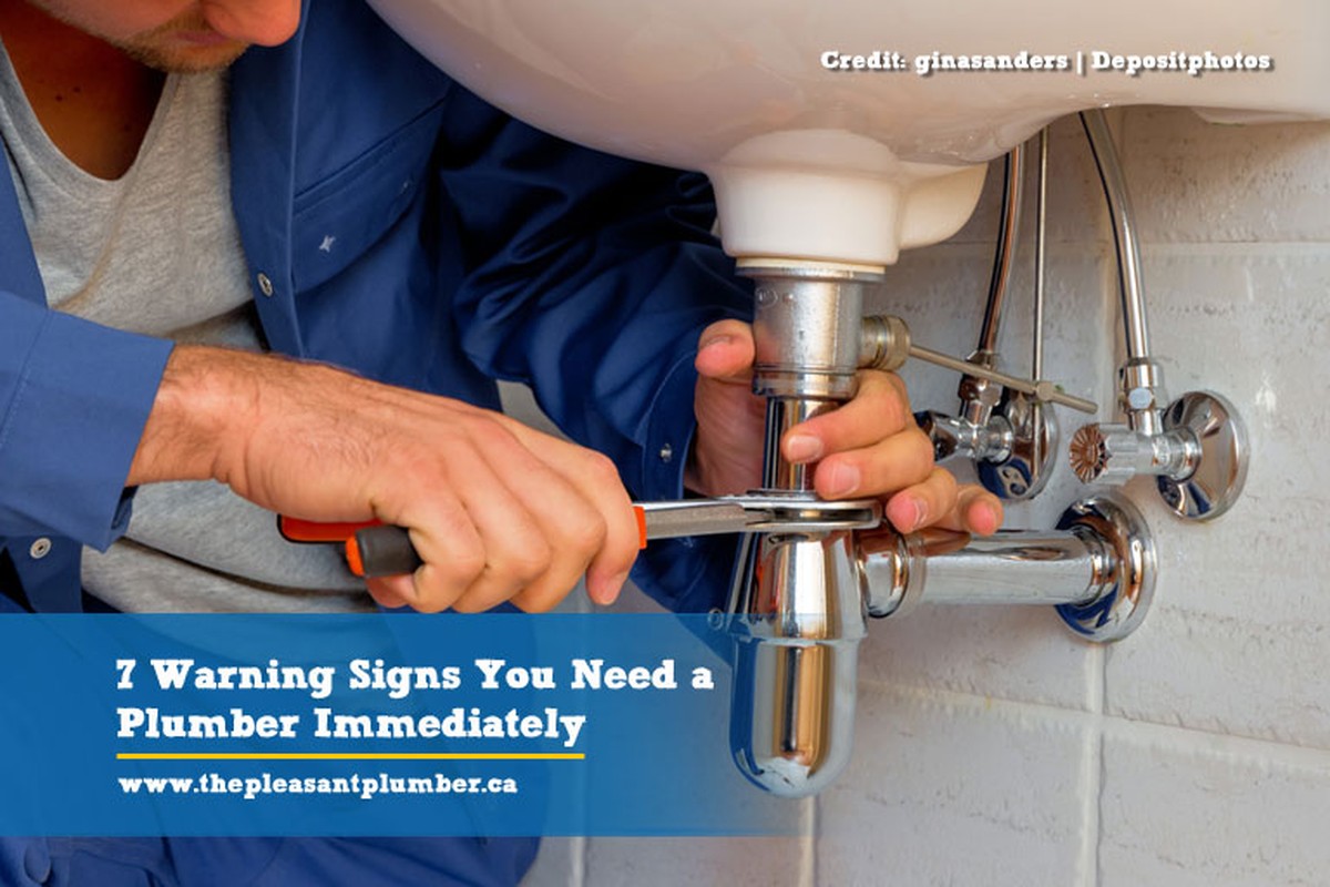 Installateure warnen: Diese drei Dinge gehören niemals ins Klo - image 2