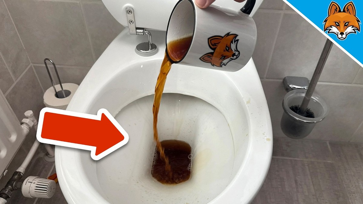 Klempner warnen: Niemals diesen Kaffeesatz in die Toilette werfen - image 1