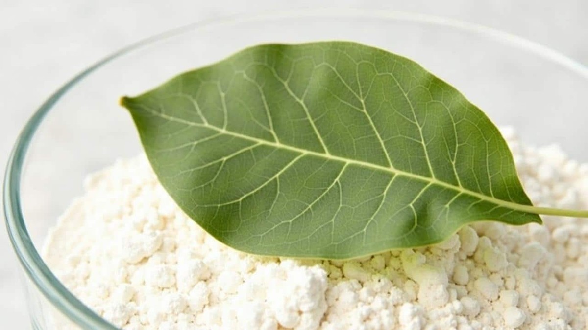 Lorbeerblatt ins Mehl – das 100 Jahre alte Geheimnis gegen Schädlinge - image 1