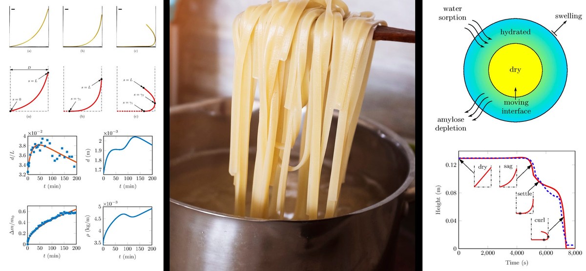 Warum Köche immer Salz ins Nudelwasser geben – die Chemie dahinter - image 2