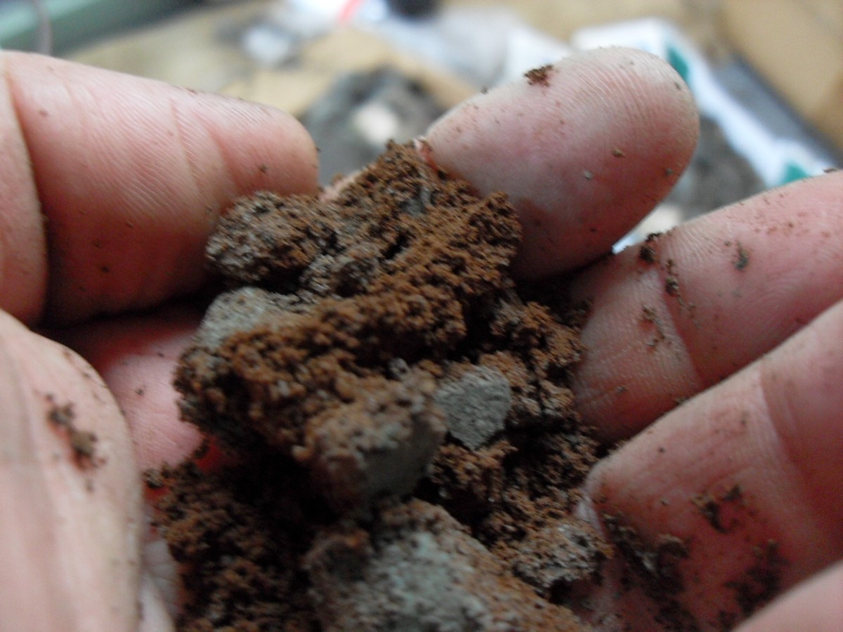 Kaffeesatz hinter den Heizkörper: Das Geheimnis gegen Stockflecken