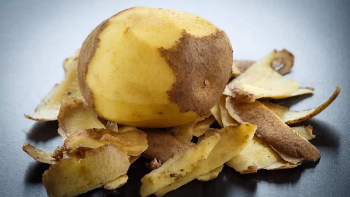 Kartoffelschale als Fleckenentferner: Wie alte Hausfrauen Weiß wieder Weiß machen - image 1