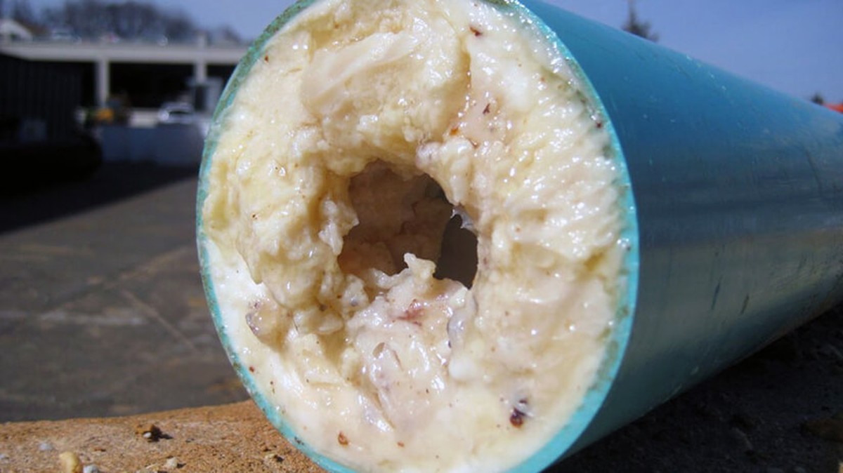 Klempner warnen: Dieses Öl gehört niemals ins Abflussrohr - image 2