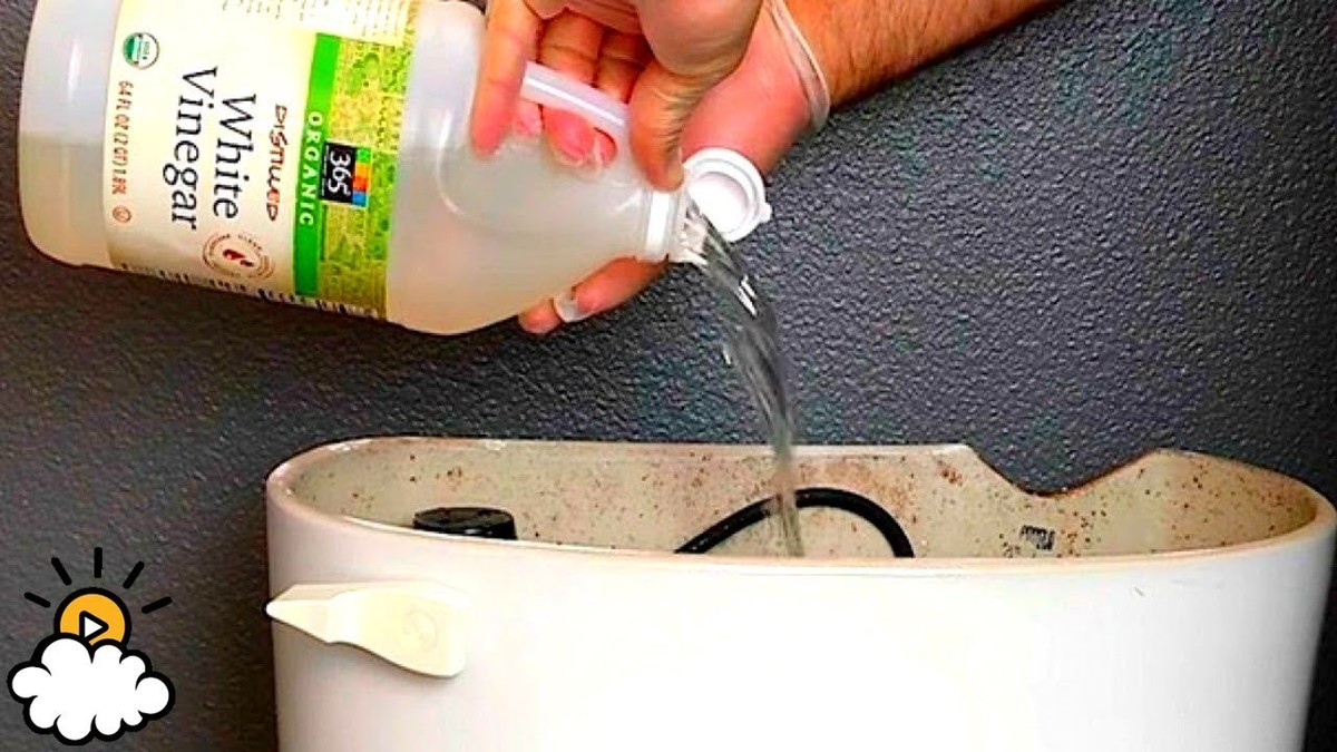 Natron und Essig in der Toilette: Was Klempner nicht sagen wollen - image 1