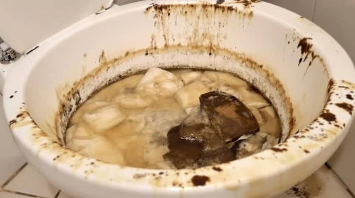 Rohrreiniger warnen: Diese drei Flüssigkeiten gehören niemals in die Toilette