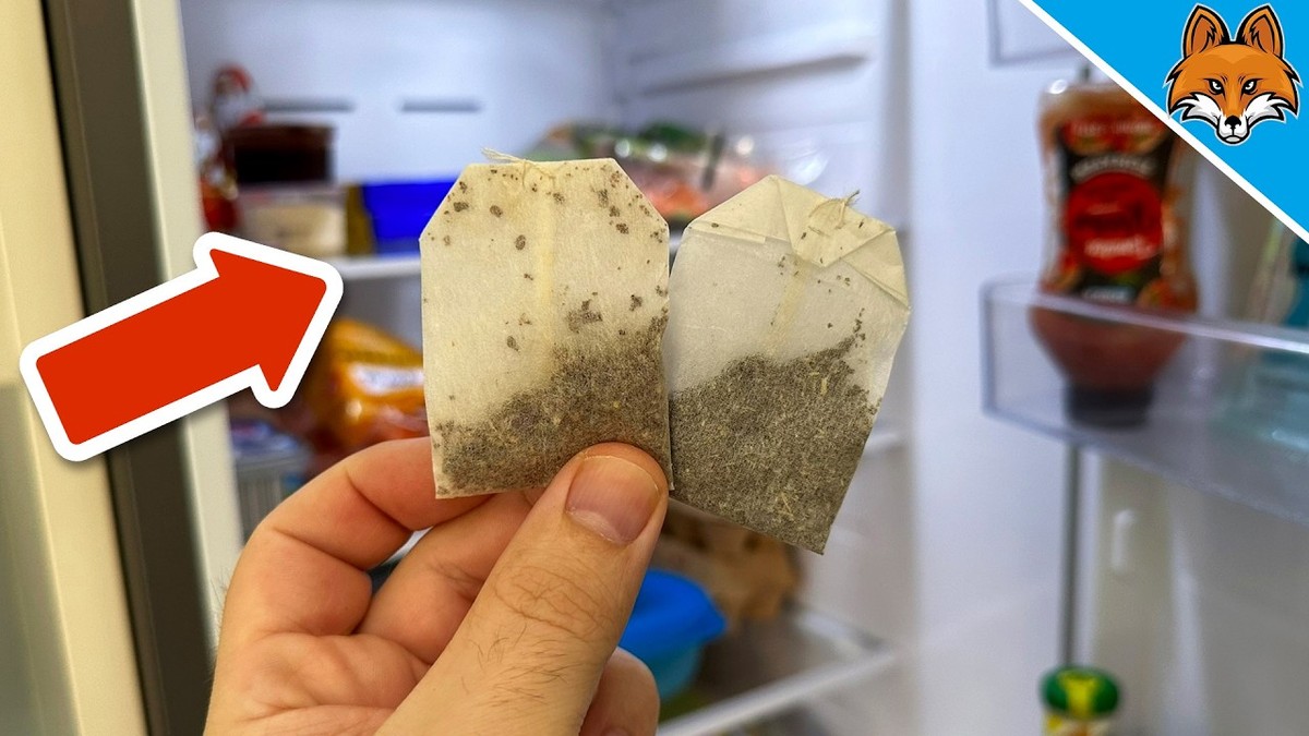 Teebeutel im Kühlschrank – warum das Ihre Lebensmittel länger frisch hält