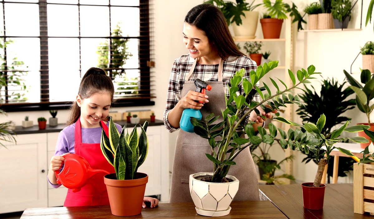 Was Gärtner wirklich über Zimmerpflanzen im Winter wissen - image 1