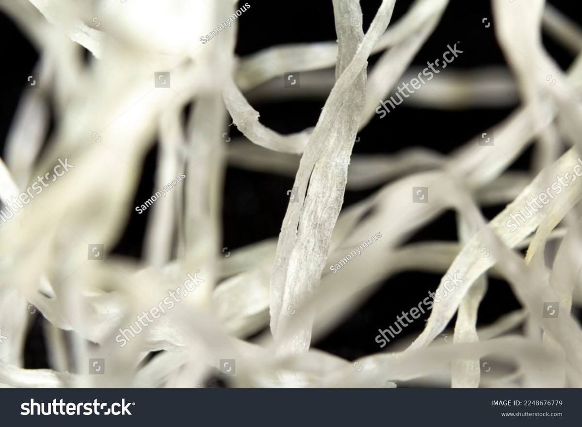 Zahnärzte verraten: Warum Sie mit Zahnseide anfangen, nicht enden - image 1