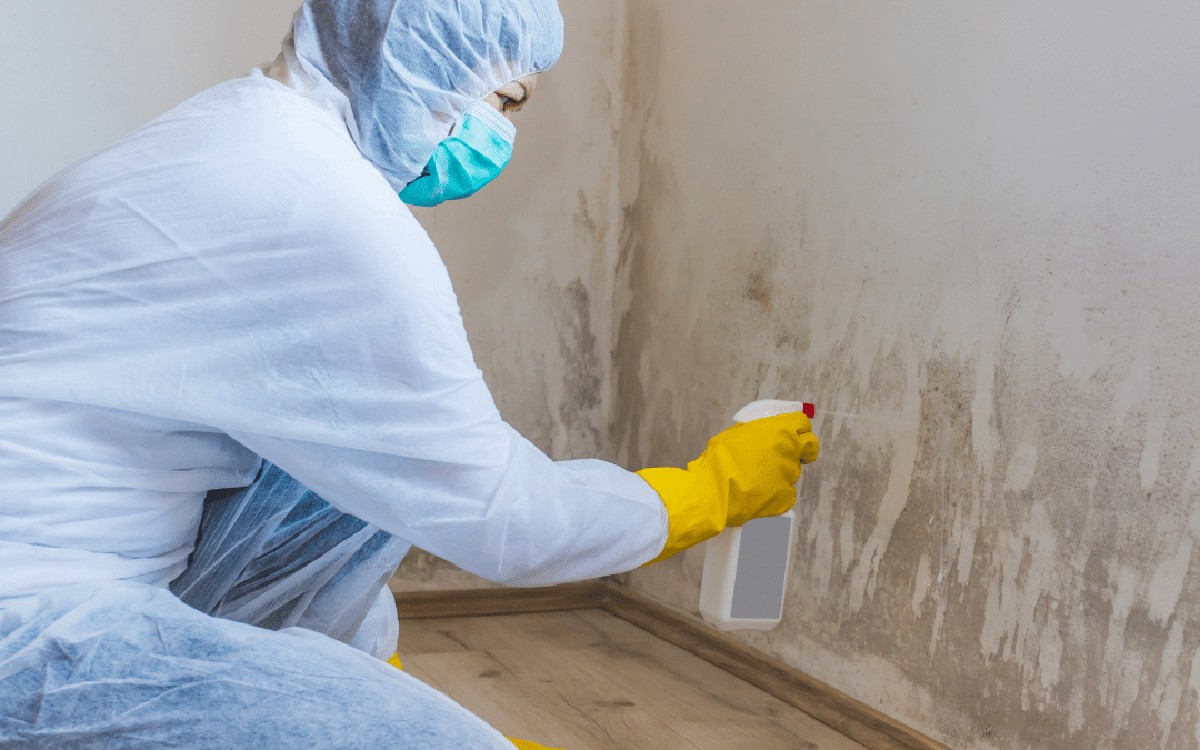 Backpulver und Zitrone: Das unterschätzte Doppel gegen hartnäckigen Schimmel - image 1