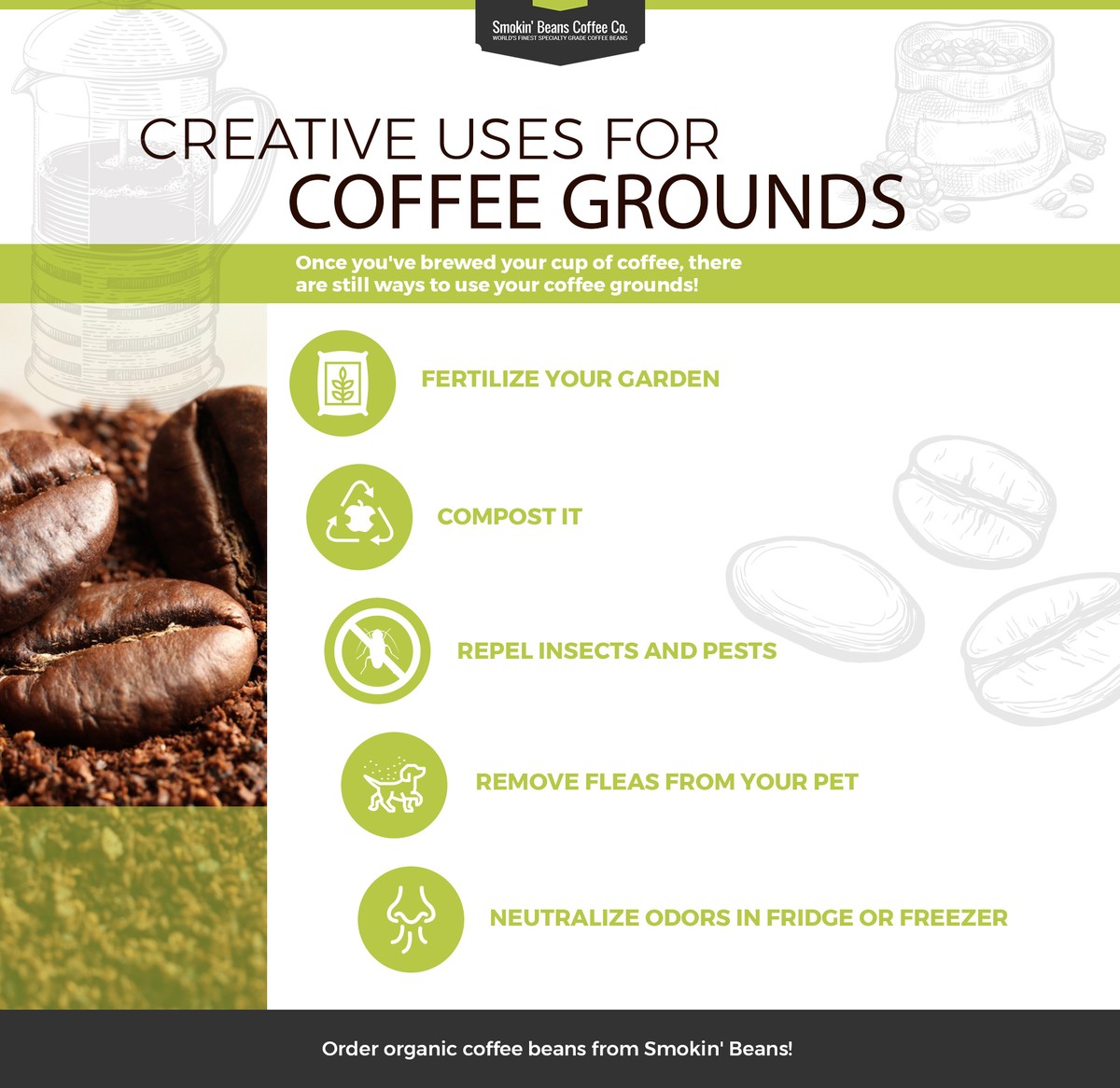 Kaffeesatz als Wundermittel: 5 Probleme, die es sofort löst