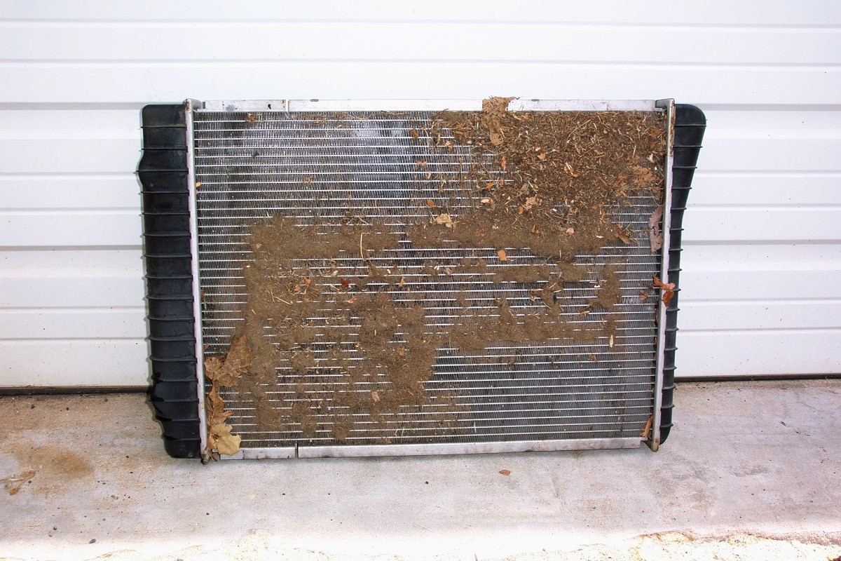 Kaffeesatz hinter der Heizung: Warum Energieversorger das verbieten wollen - image 1