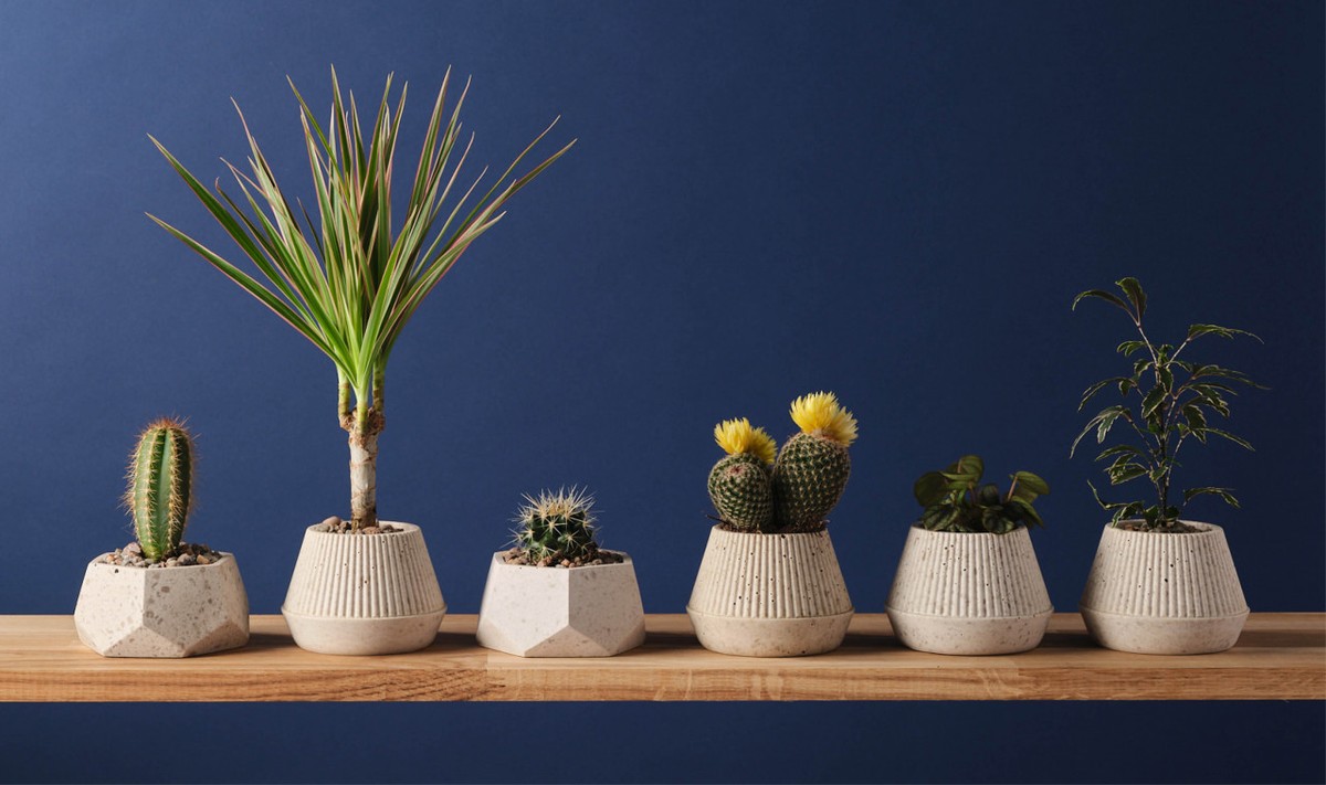 Kaffeesatz in der Blumenvase: Frische Blüten halten doppelt so lange - image 1