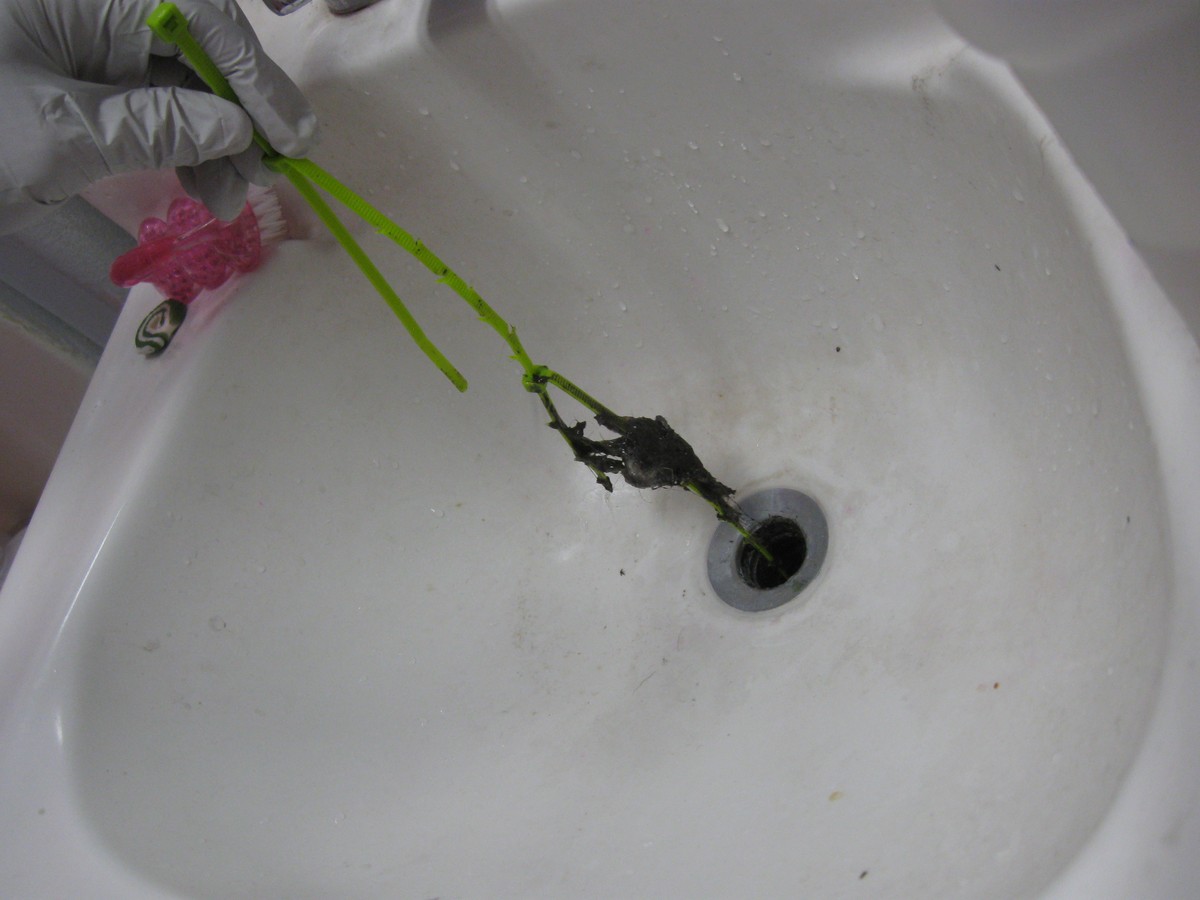 Kaffeesatz in der Dusche: Warum das Abflussrohr wieder frei wird - image 2