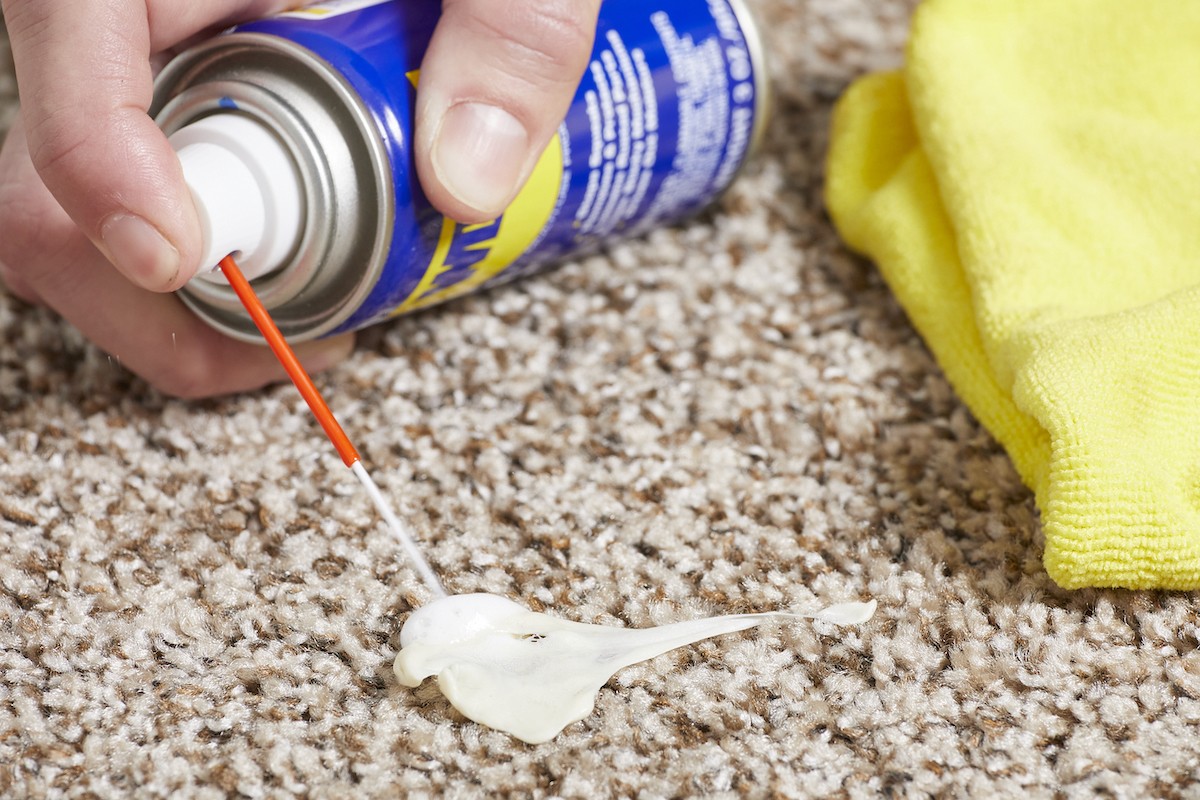 Kaugummi auf dem Teppich? Gefrierbeutel löst das Problem in 2 Minuten - image 1