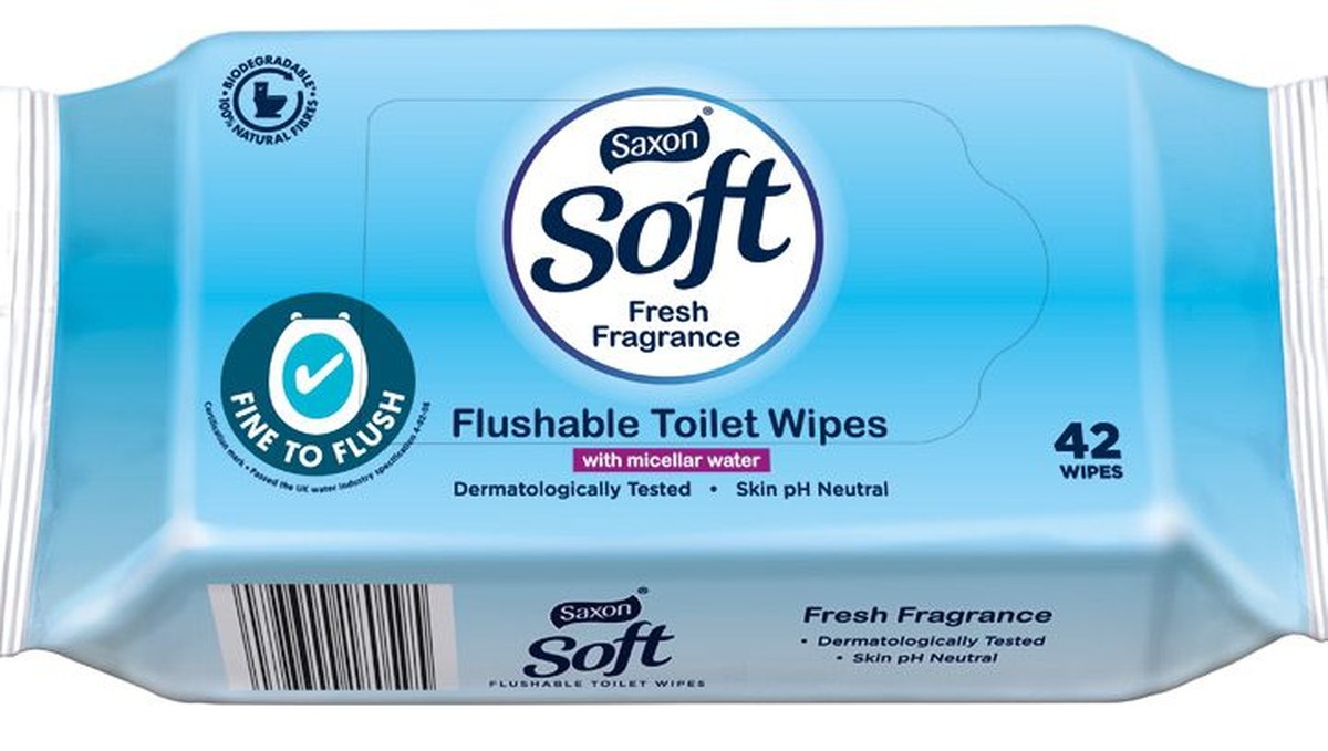 Klempner warnen: Diese 3 Gegenstände gehören niemals in die Toilette - image 2